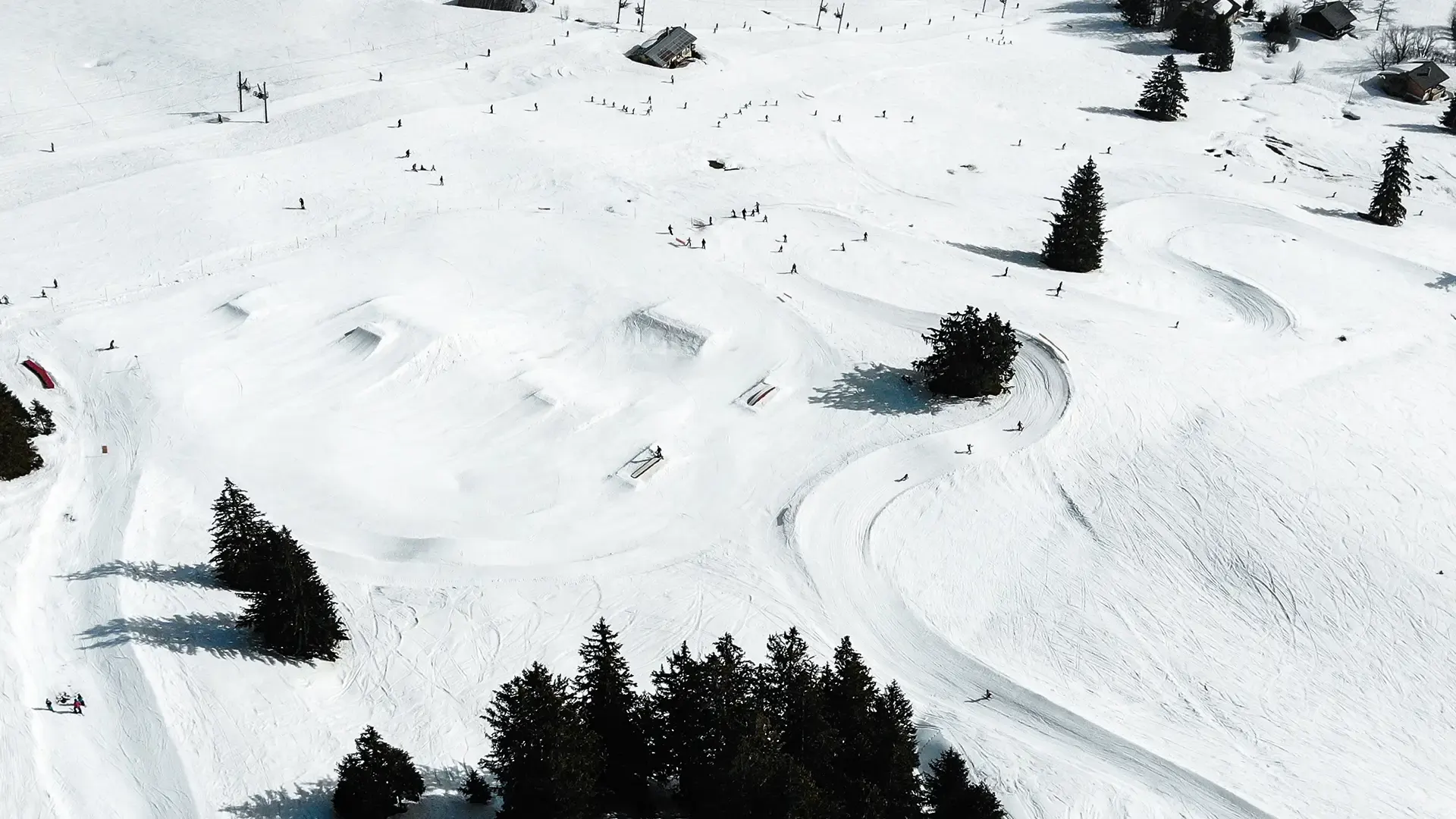 Banner Mosses Snowpark